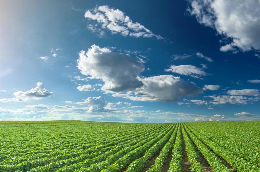 每年可节约灌溉水量约3000吨！文溪坞是如何做到的？|91香蕉下载污环保91香蕉APP破解版下载苹果