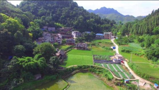 超11亿！葛洲坝集团中标霞浦县乡镇农村污水治理一体化项目|91香蕉下载污环保资讯