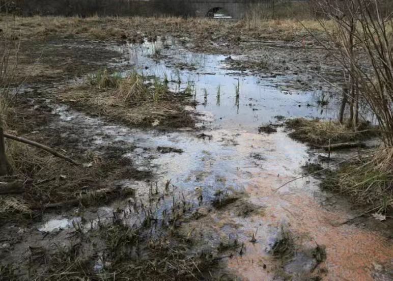 举报无果！湖南省某制药公司违法排污居民曾多次举报|91香蕉下载污带您看环保