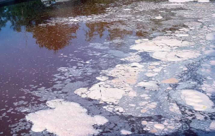 【共检查27家企业】凤岗镇生态环境分局对27家企业进行检查|91香蕉下载污环保91香蕉APP破解版下载苹果