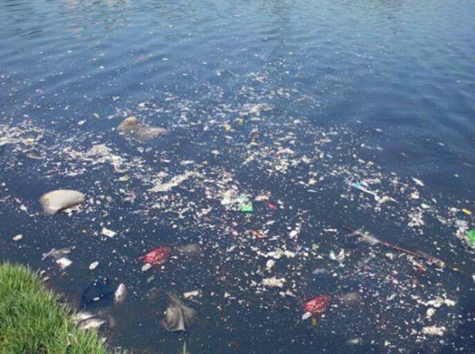 海南如何借助技术手段改善海洋生态环境？|91香蕉下载污带您关注环保91香蕉APP破解版下载苹果